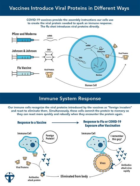 do flu shots contain rfid chips|Covid.